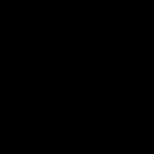 Meet your Posher, Cora